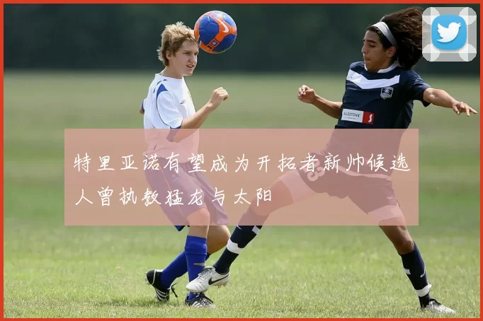 特里亚诺有望成为开拓者新帅候选人曾执教猛龙与太阳